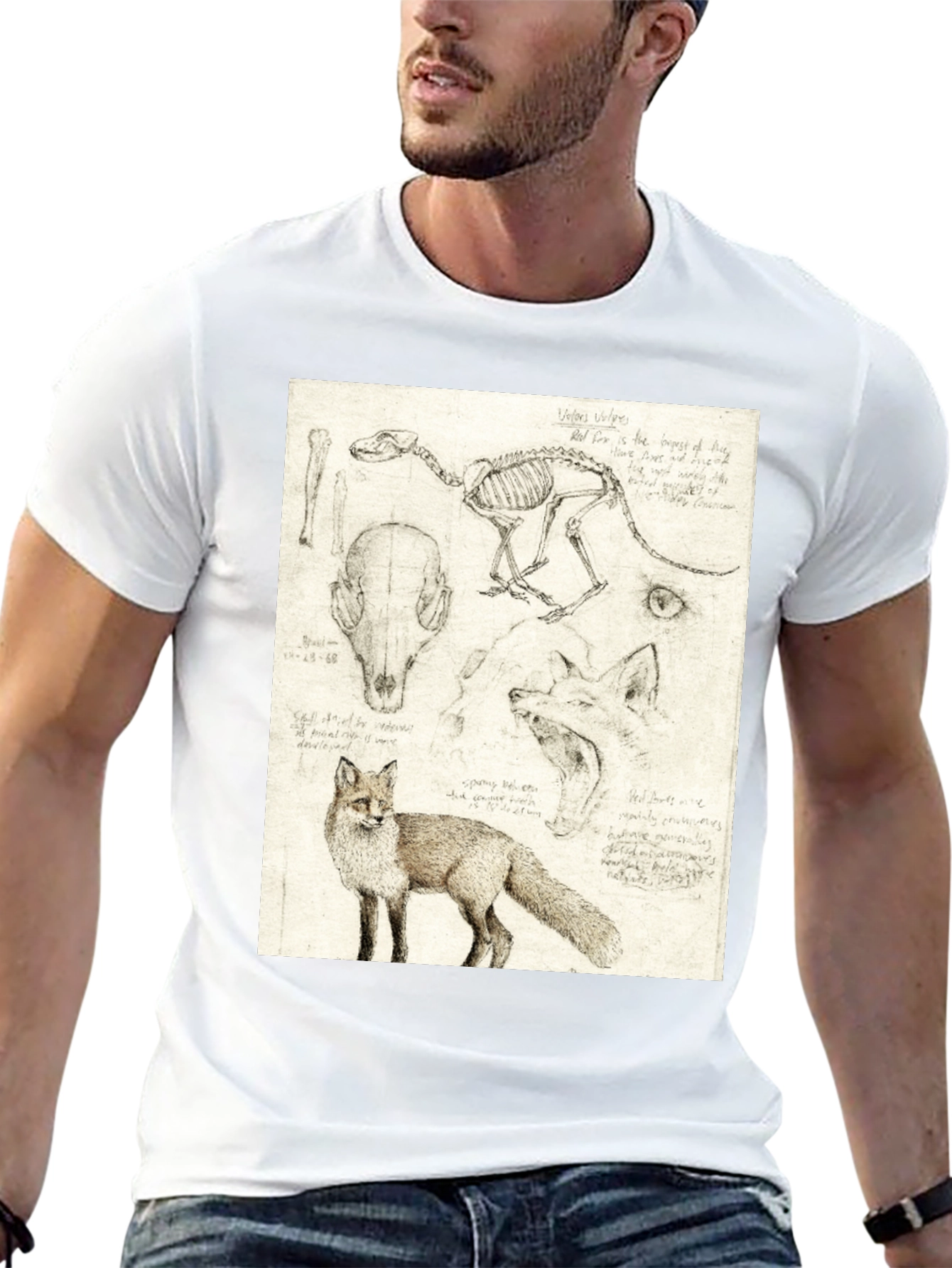 Anatomical Fox Print Tee - Artistic Unisex T-Shirt