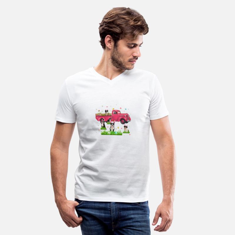 Truck With Border Collie Dogs Lover Bunny Easter