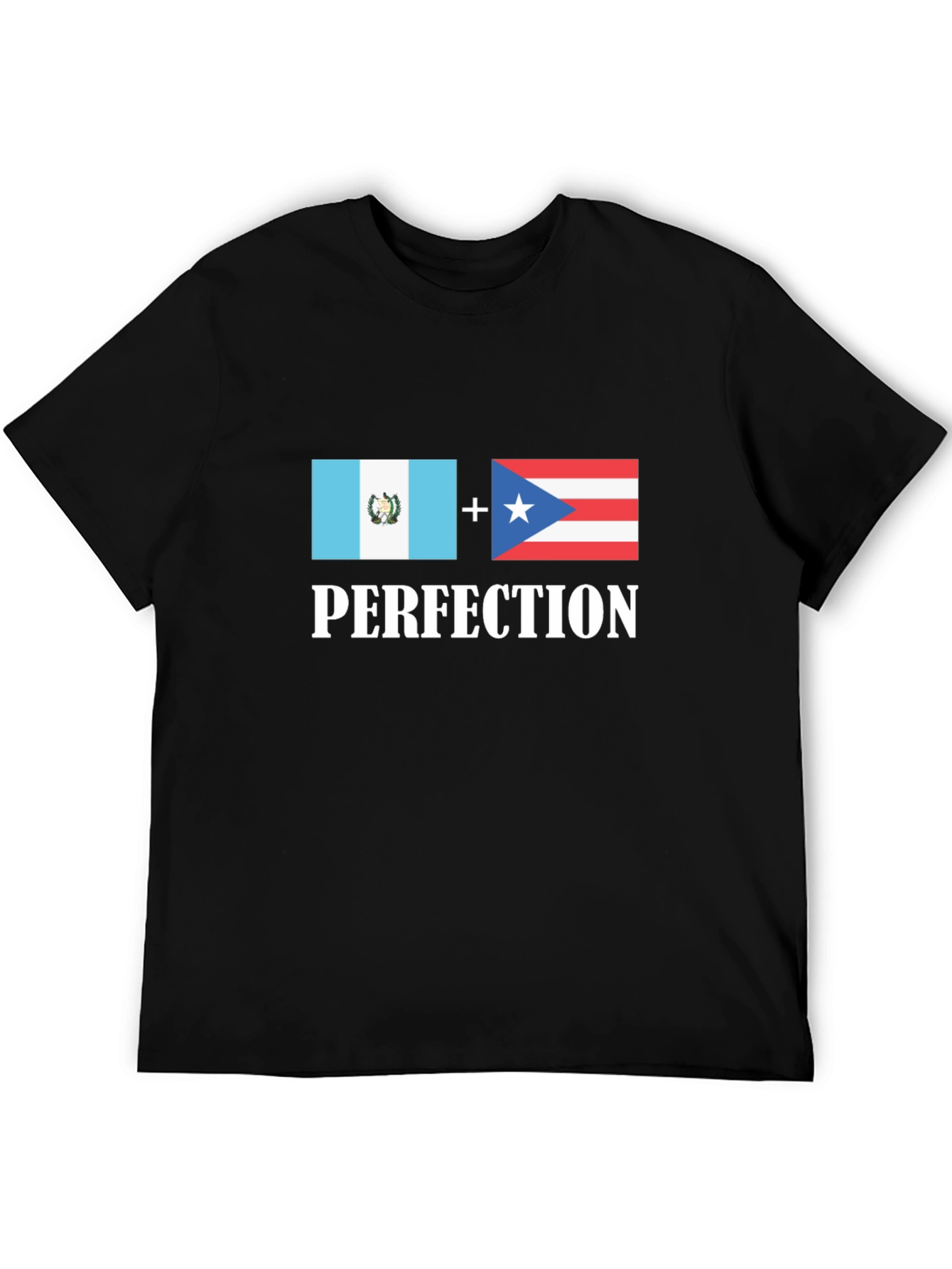 Guatemala Puerto Rico Perfection T-Shirt