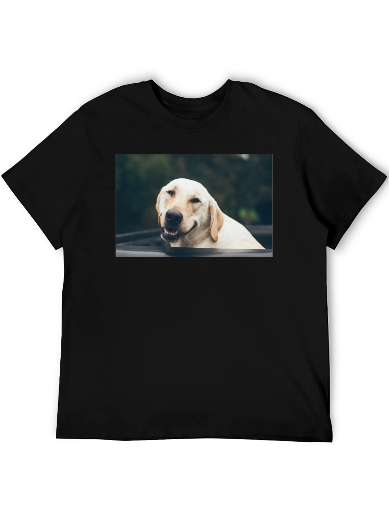 Dog Lover Black T-Shirt | Relaxed Fit