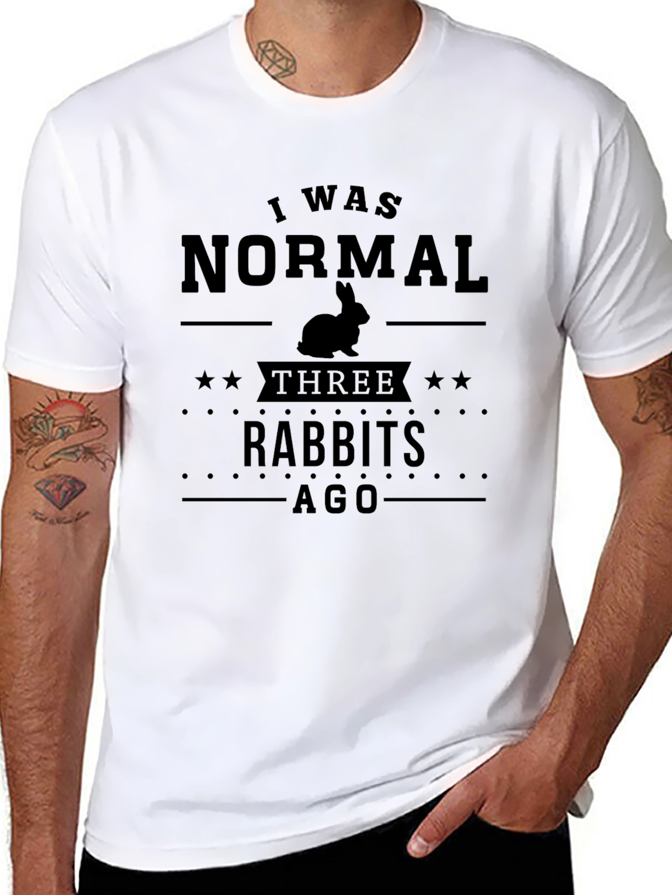 I Was Normal Three Rabbits Ago T-Shirt