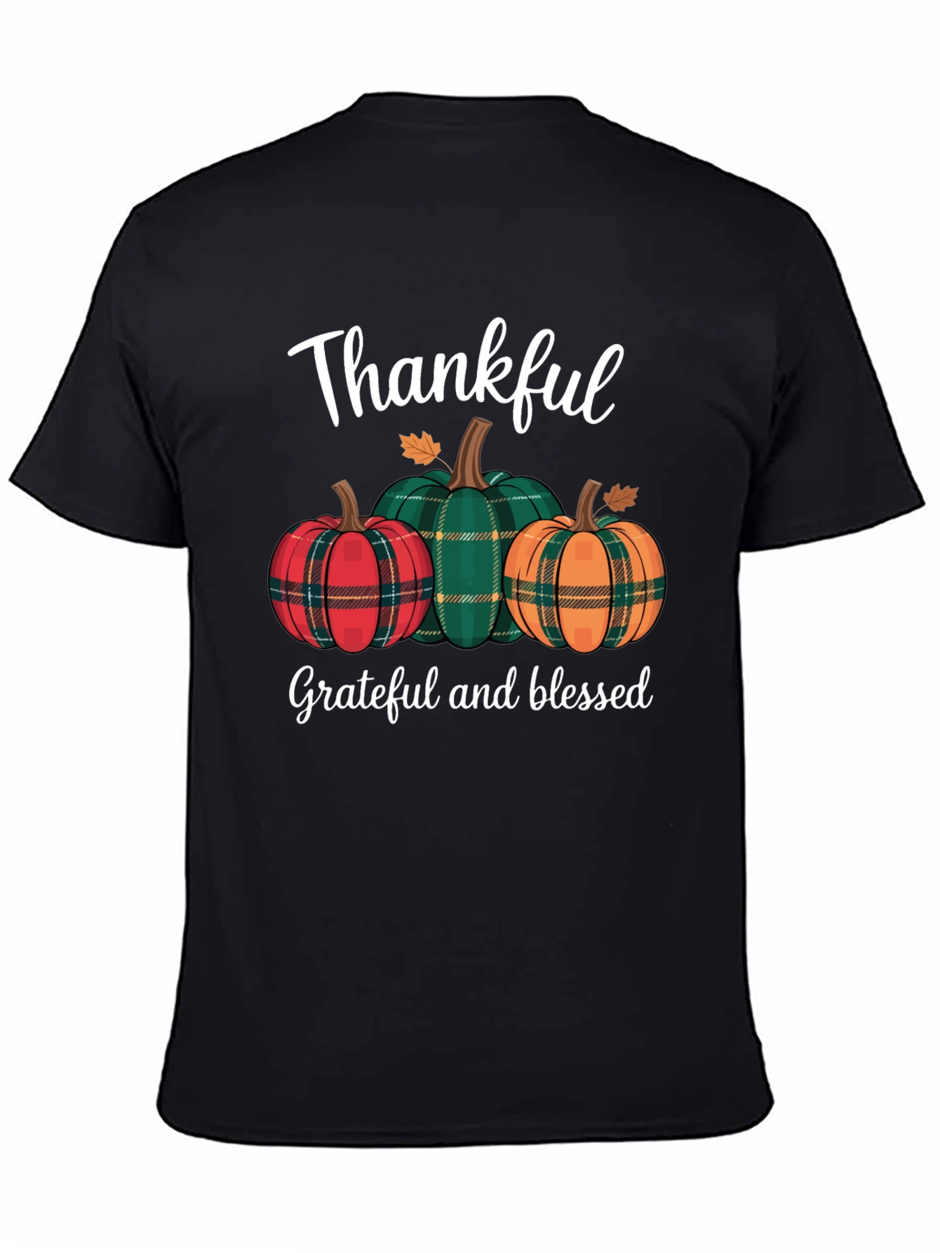 Thankful Pumpkin Plaid T-Shirt - Fall Thanksgiving Tee