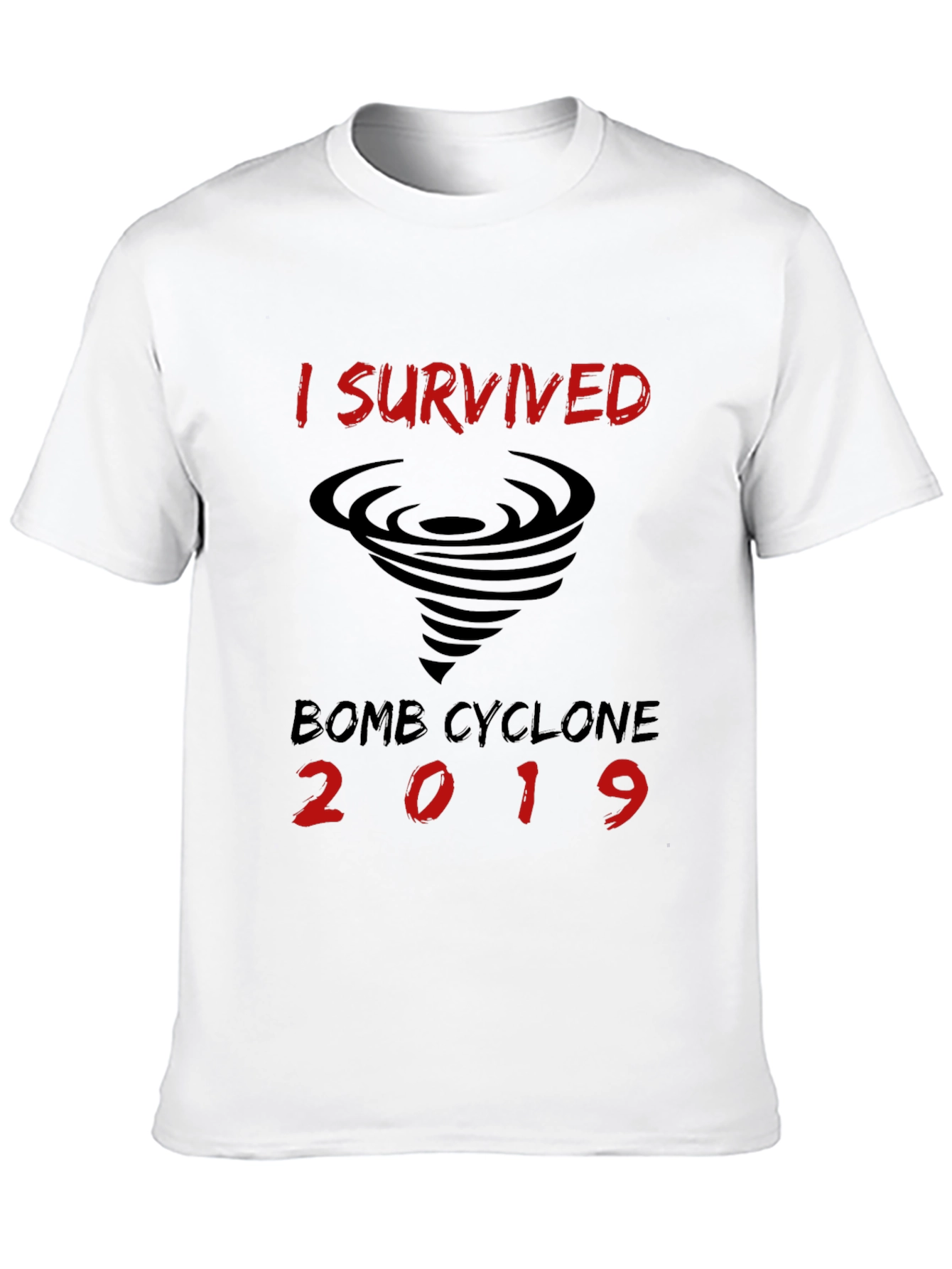 I Survived Bomb Cyclone 2019 T-Shirt