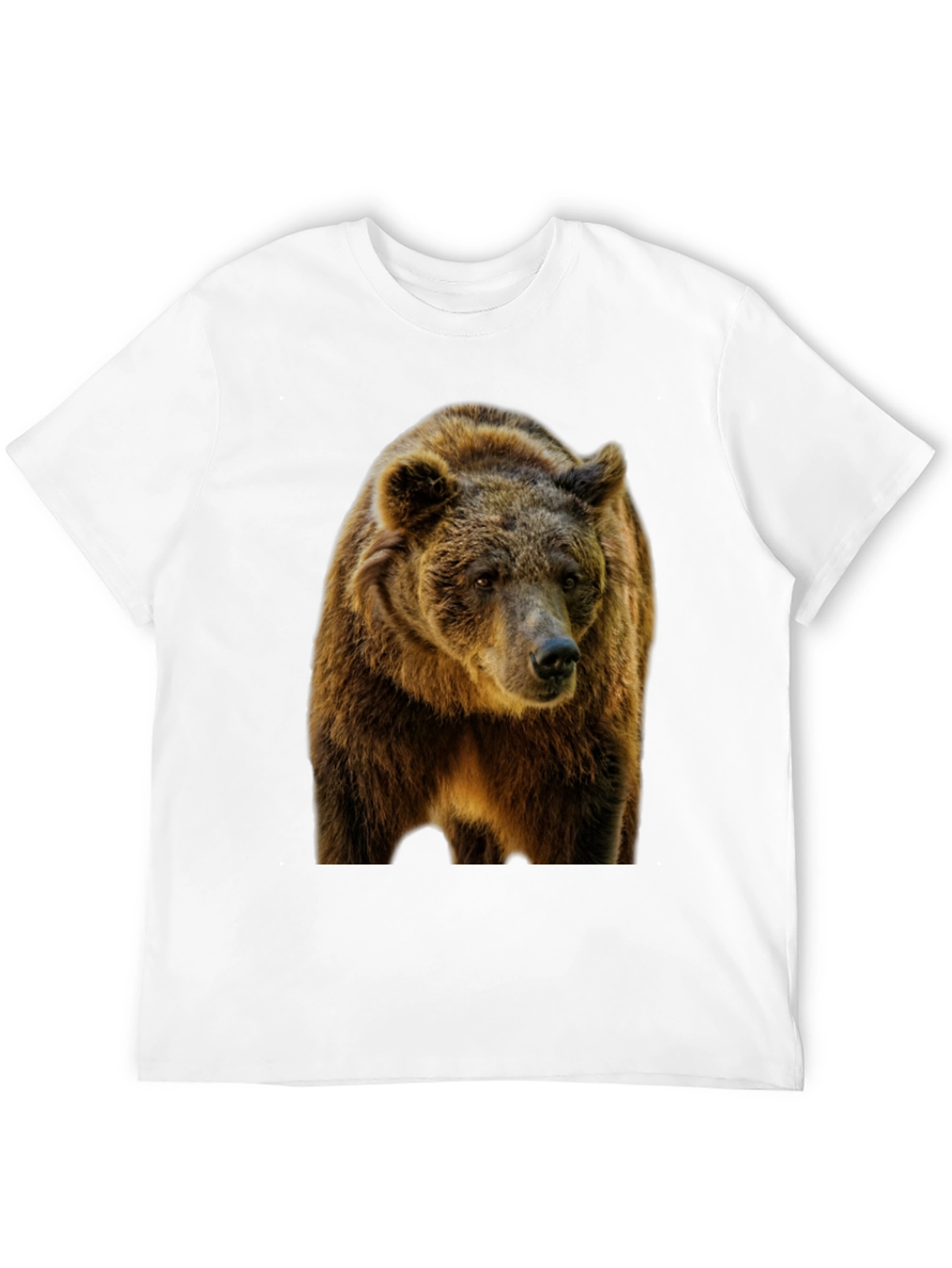 Grizzly Bear Graphic Black T-Shirt