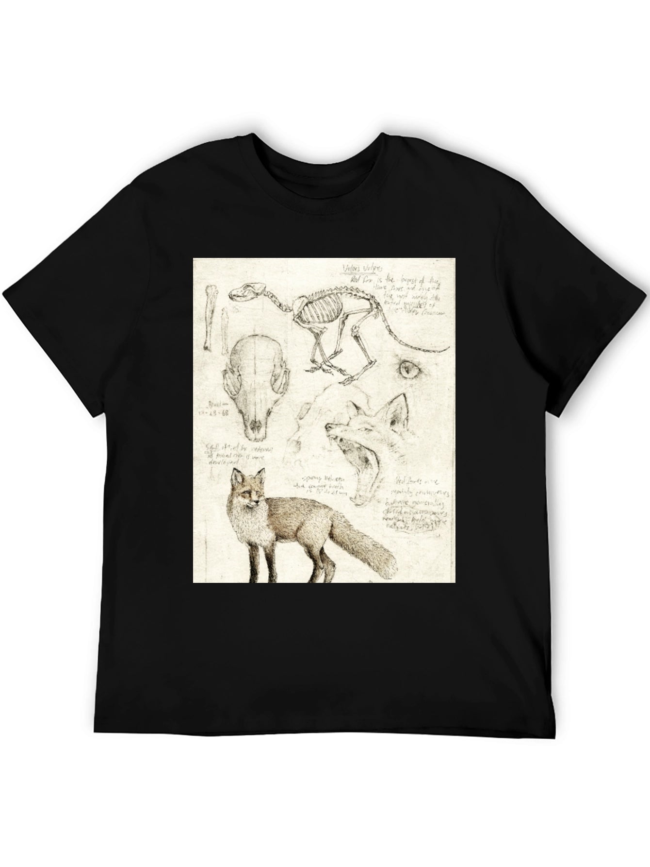 Anatomical Fox Print Tee - Artistic Unisex T-Shirt