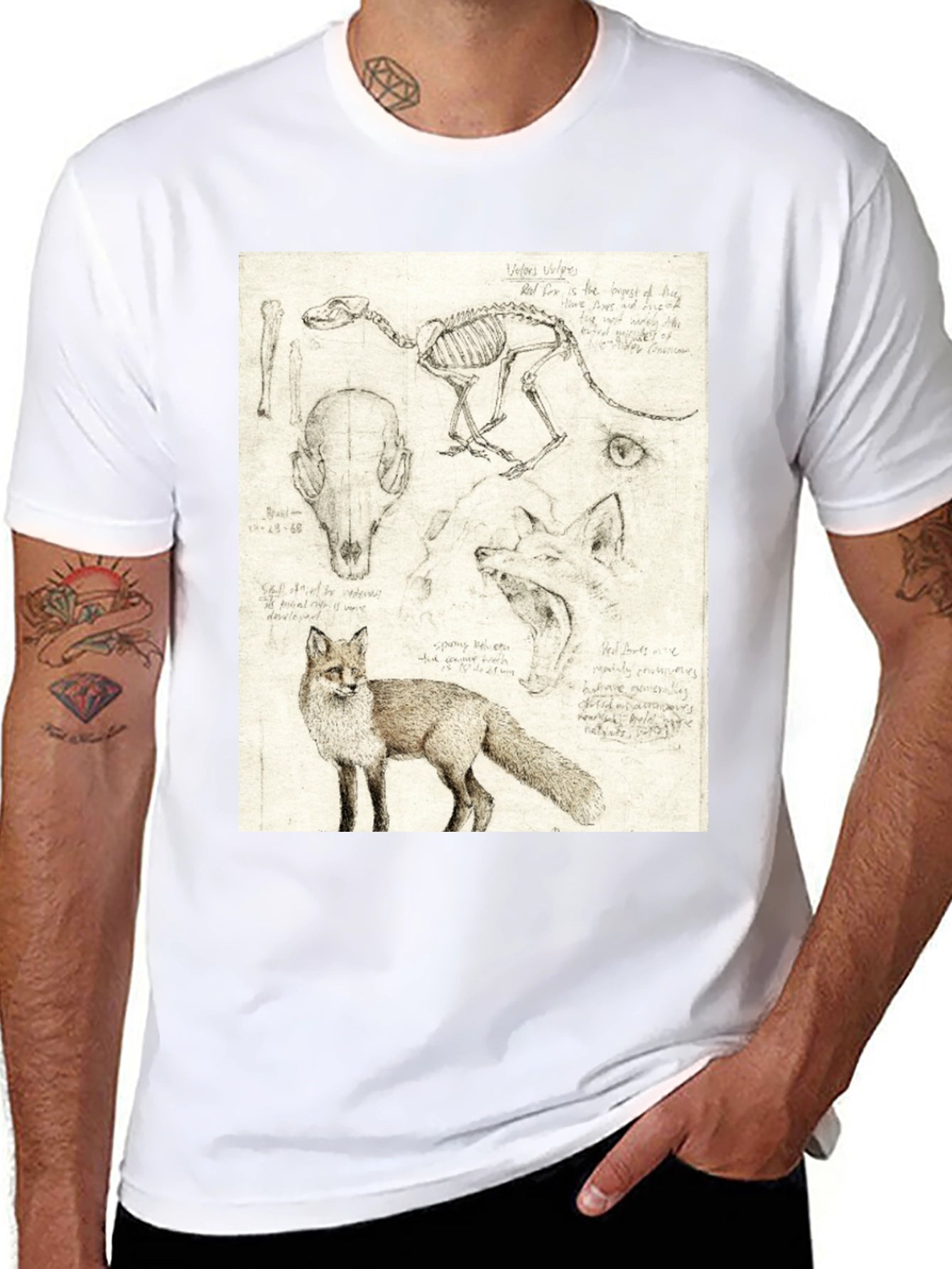 Anatomical Fox Print Tee - Artistic Unisex T-Shirt