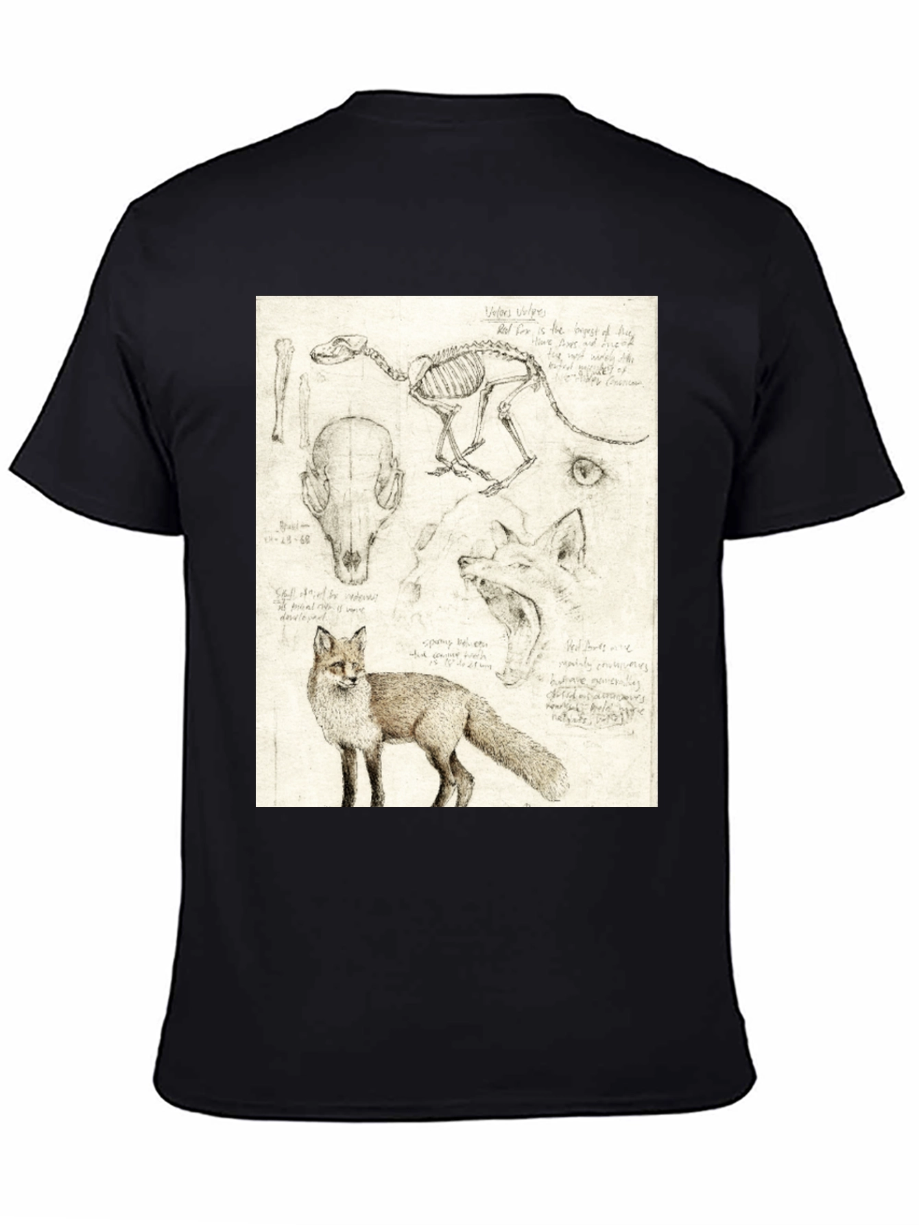Anatomical Fox Print Tee - Artistic Unisex T-Shirt