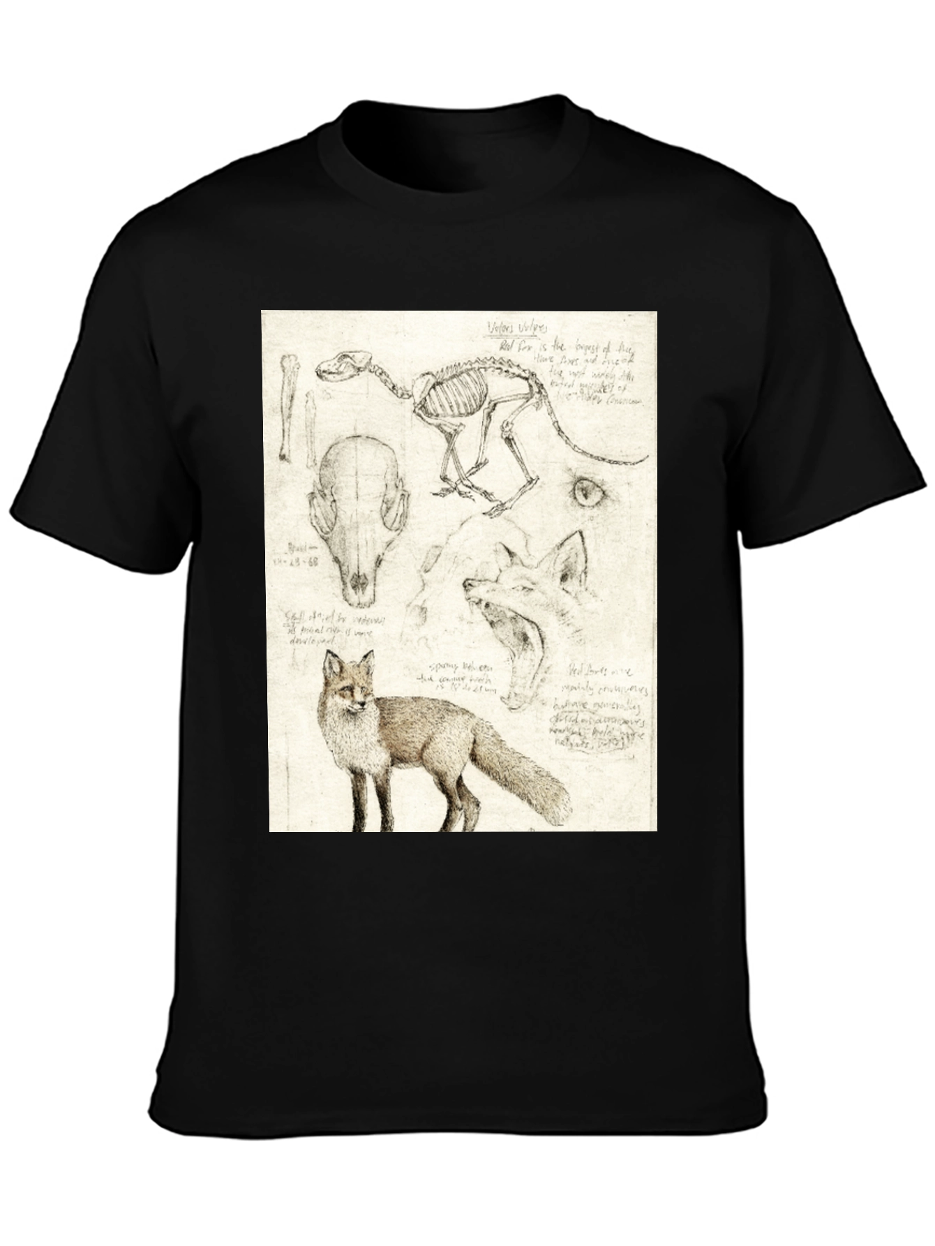 Anatomical Fox Print Tee - Artistic Unisex T-Shirt