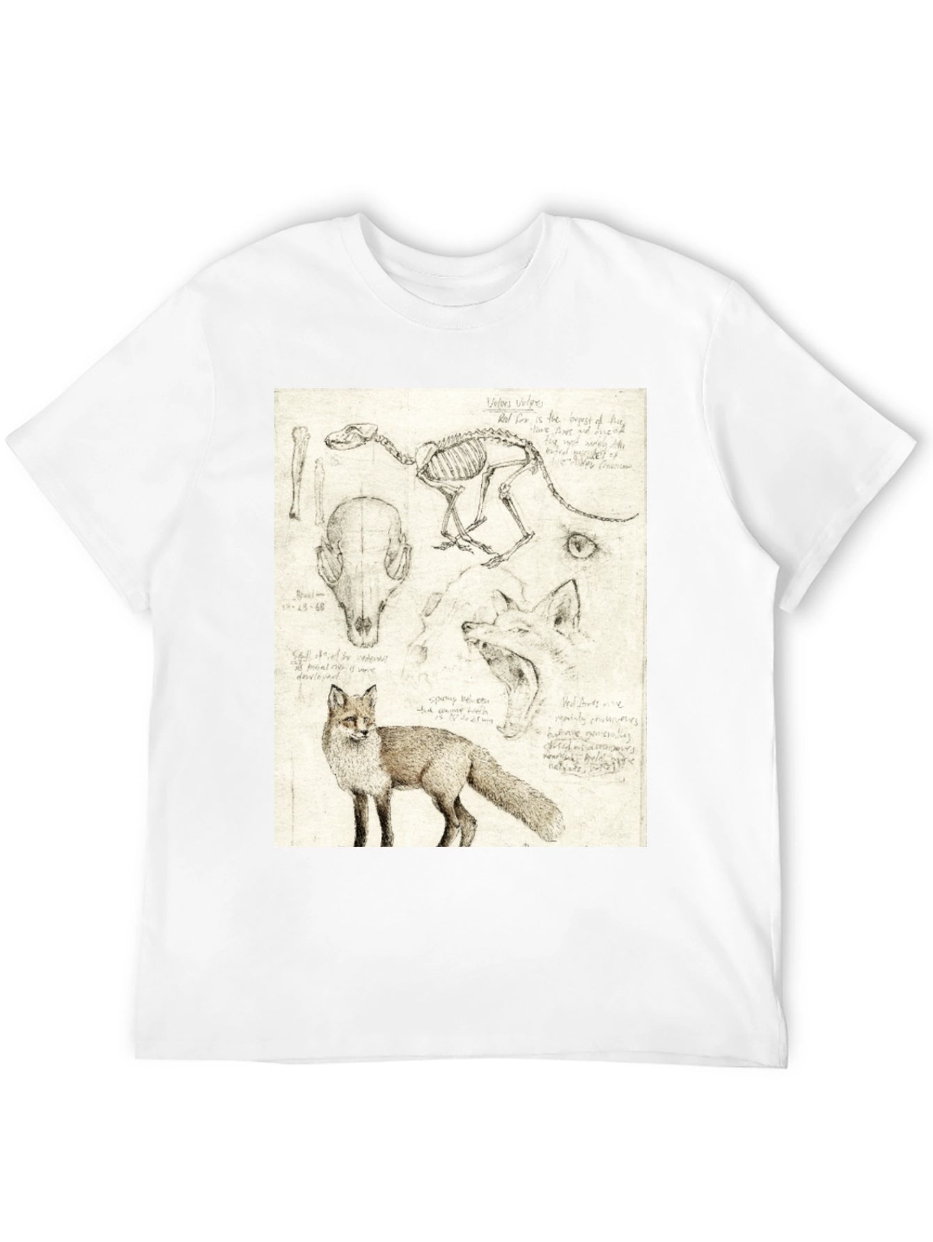Anatomical Fox Print Tee - Artistic Unisex T-Shirt