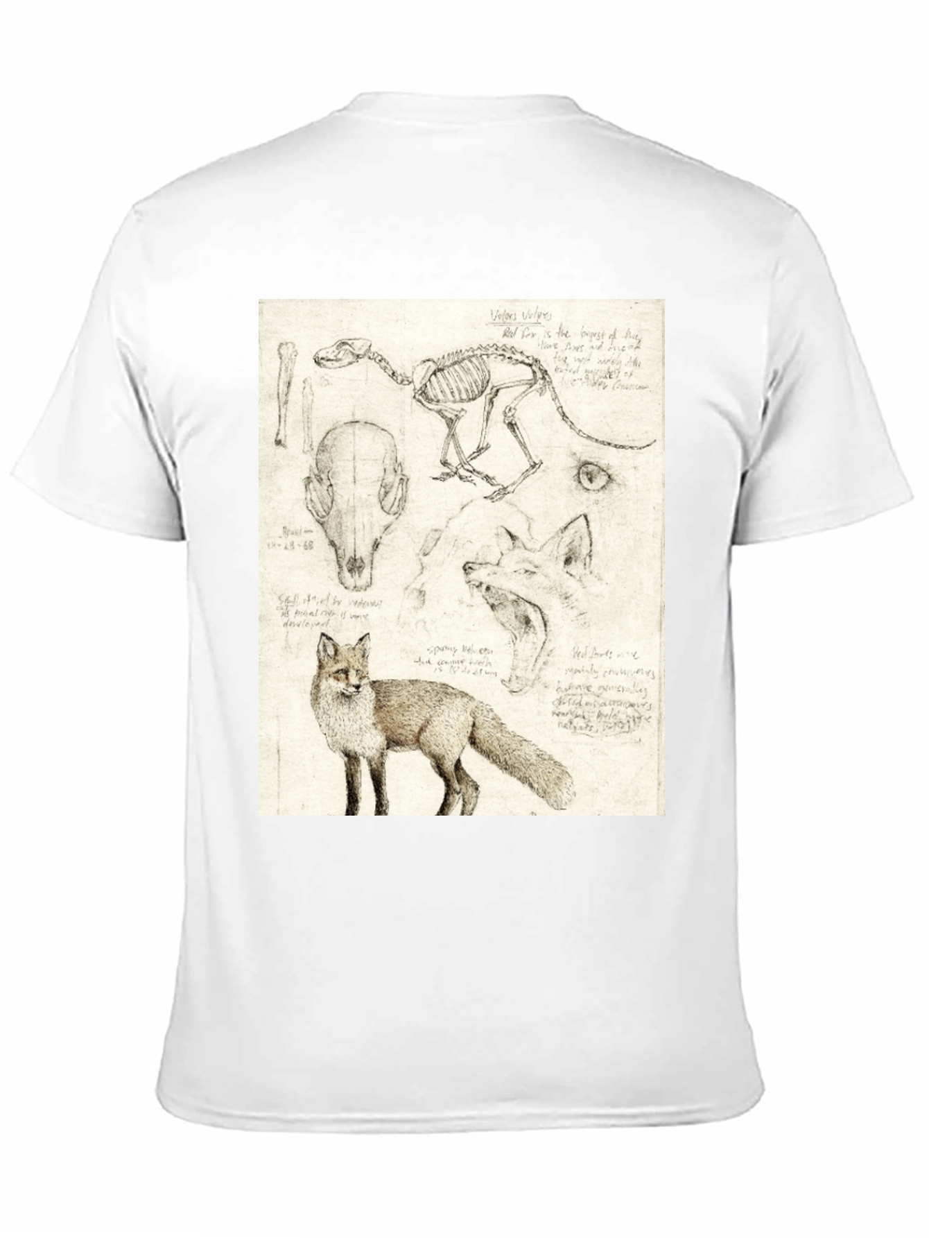 Anatomical Fox Print Tee - Artistic Unisex T-Shirt