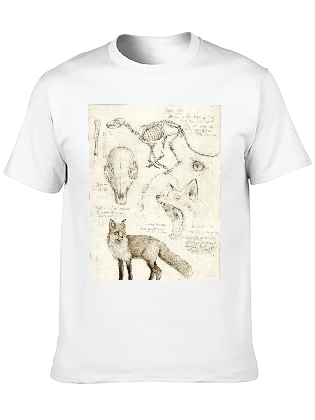 Anatomical Fox Print Tee - Artistic Unisex T-Shirt