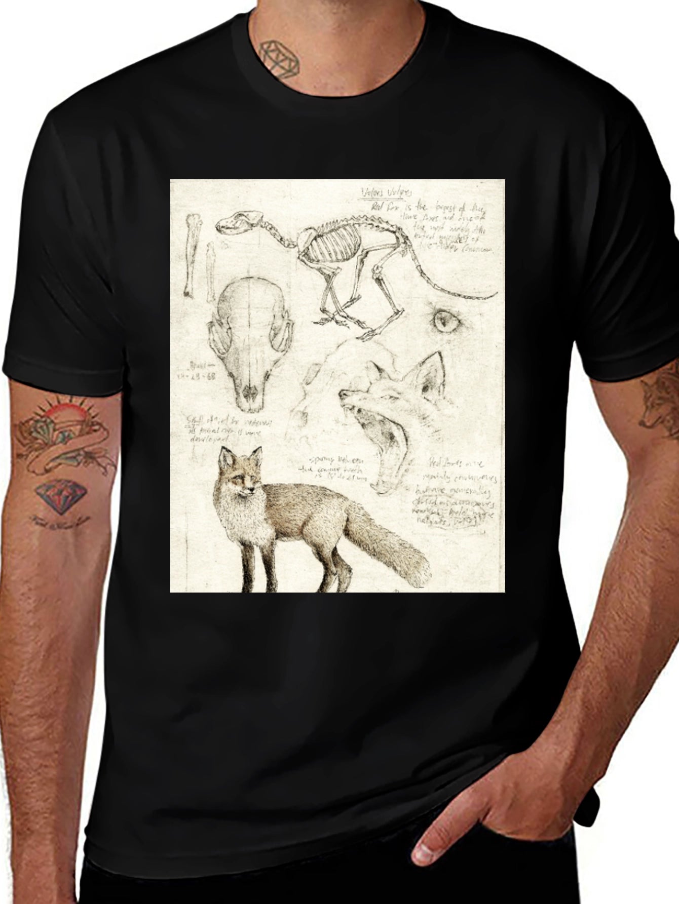 Anatomical Fox Print Tee - Artistic Unisex T-Shirt