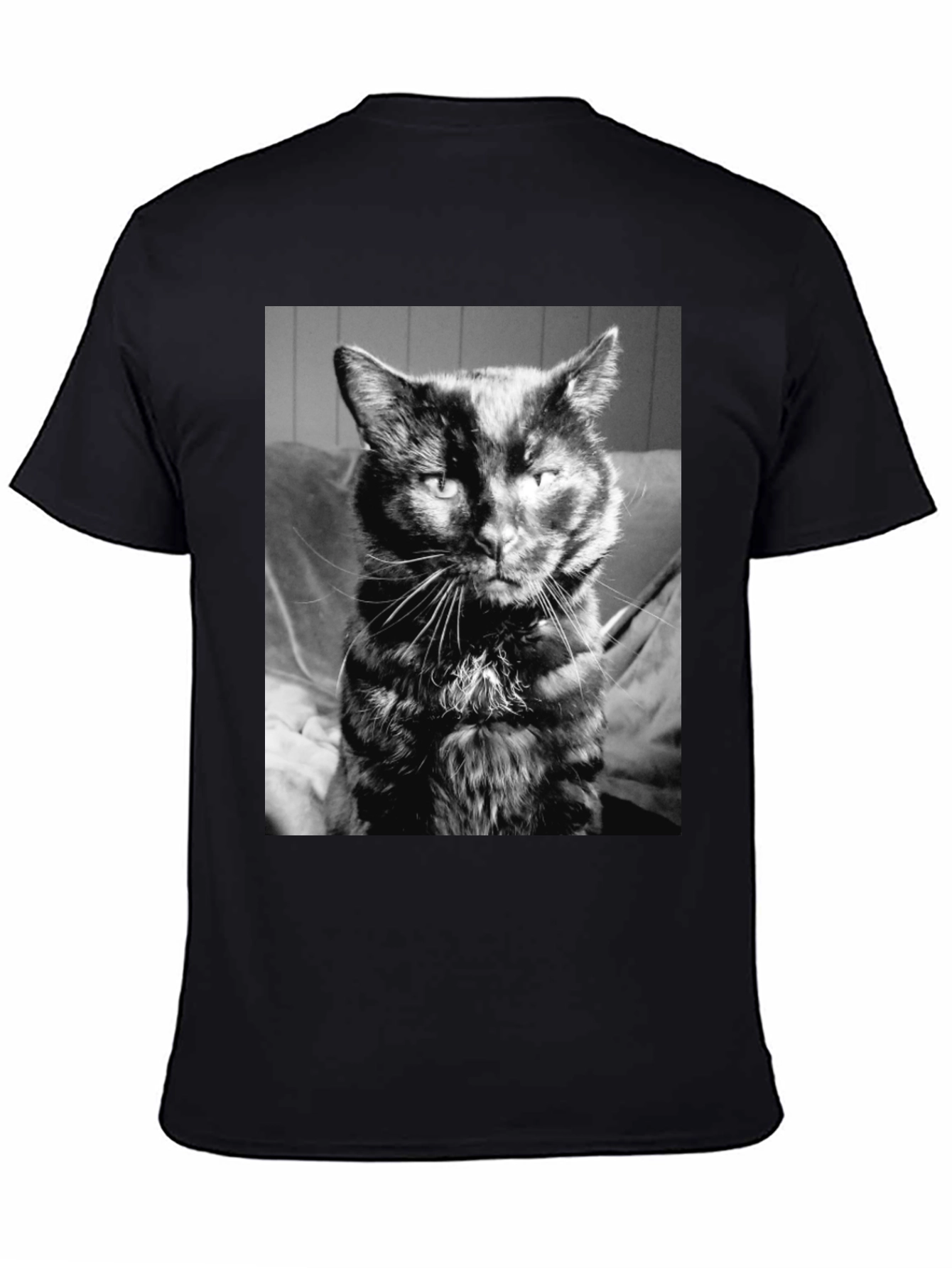 Cool Cat Black T-Shirt