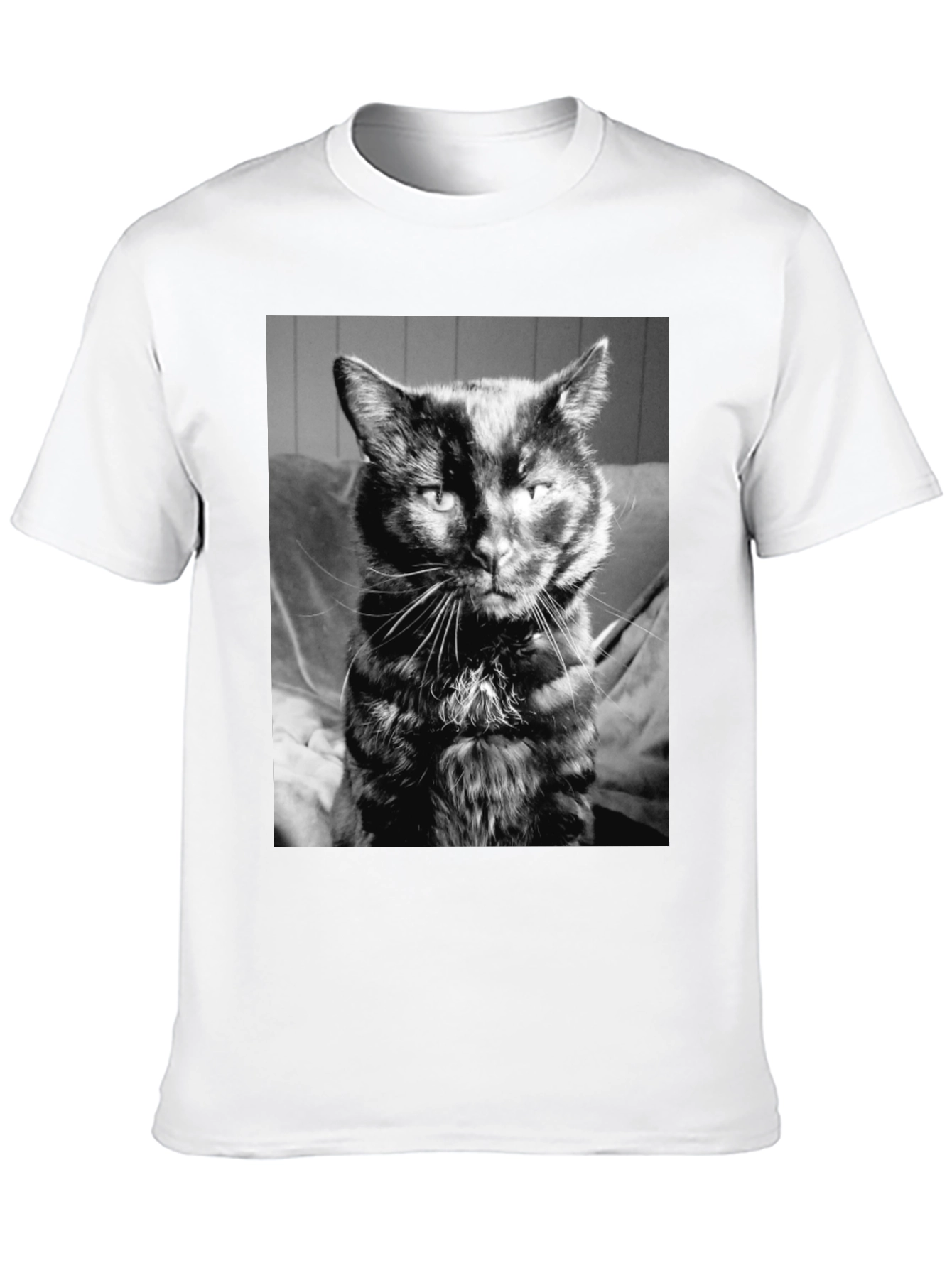 Cool Cat Black T-Shirt