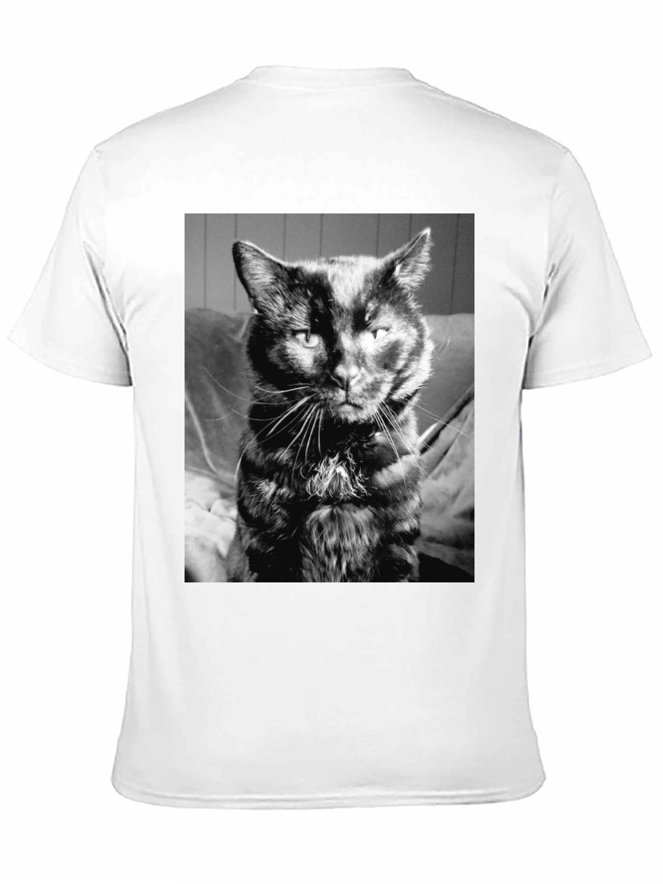 Cool Cat Black T-Shirt