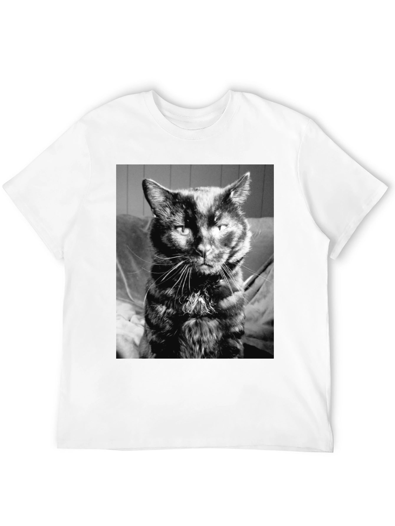 Cool Cat Black T-Shirt