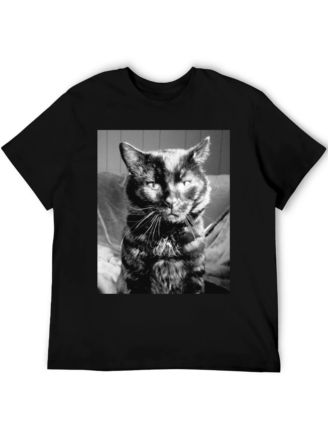 Cool Cat Black T-Shirt