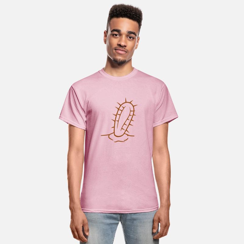 Cactus Plant Prickly Spines Desert Cacti Flowers