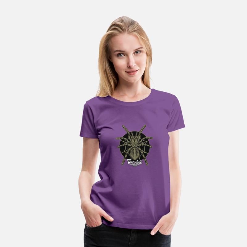 Cool Tarantula Spider Web Hunting Spider Wildlife
