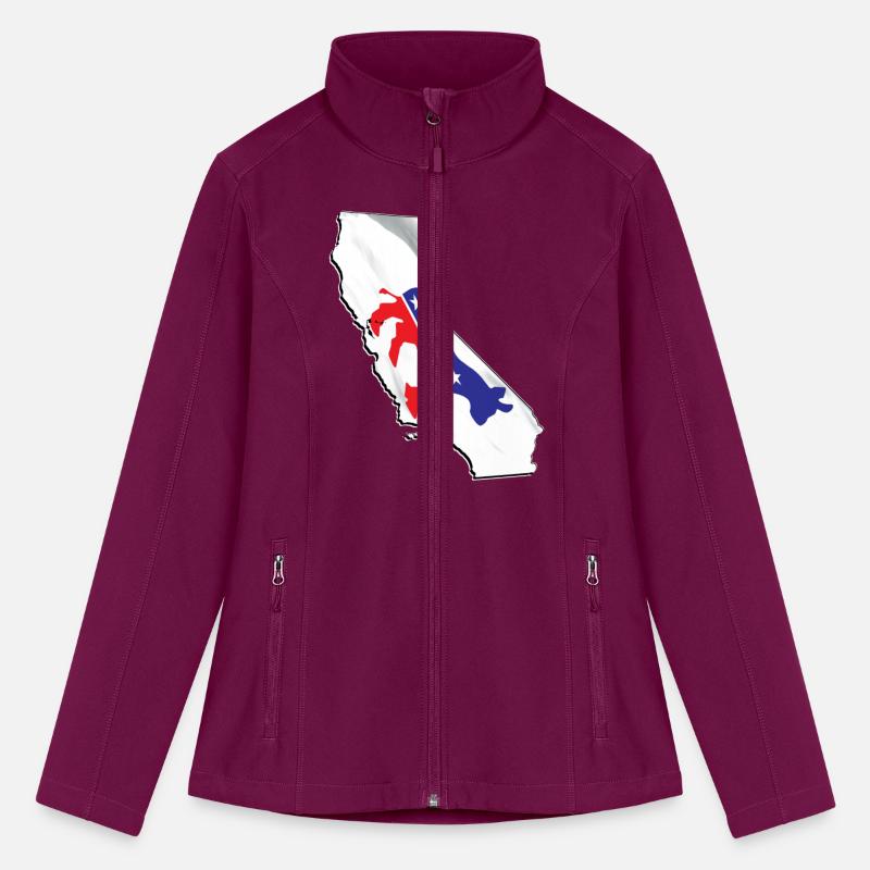 Democrat Flag in California State Map
