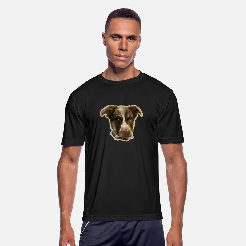 dogs angry animal