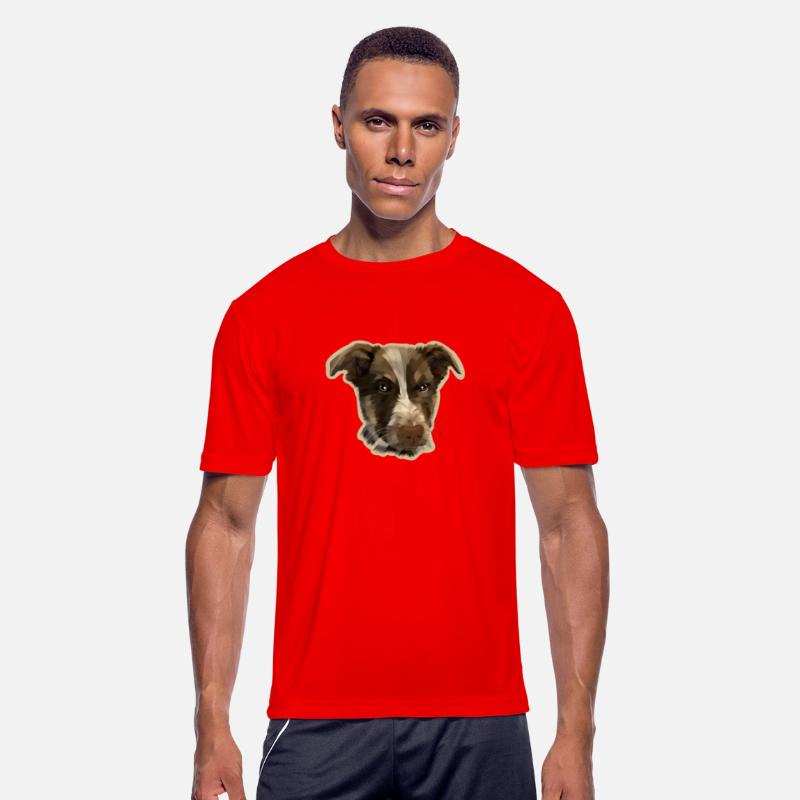 dogs angry animal