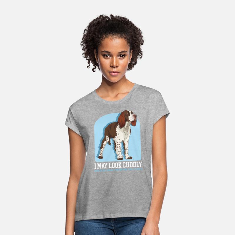 English Springer Spaniel May Look Cuddly