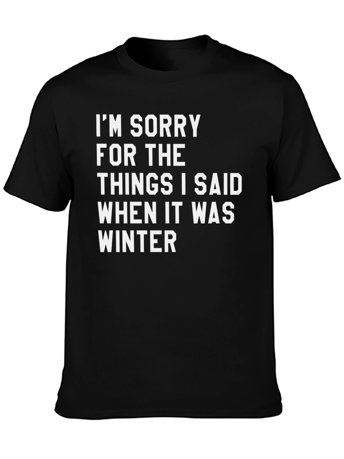 Funny Winter Apology T-Shirt