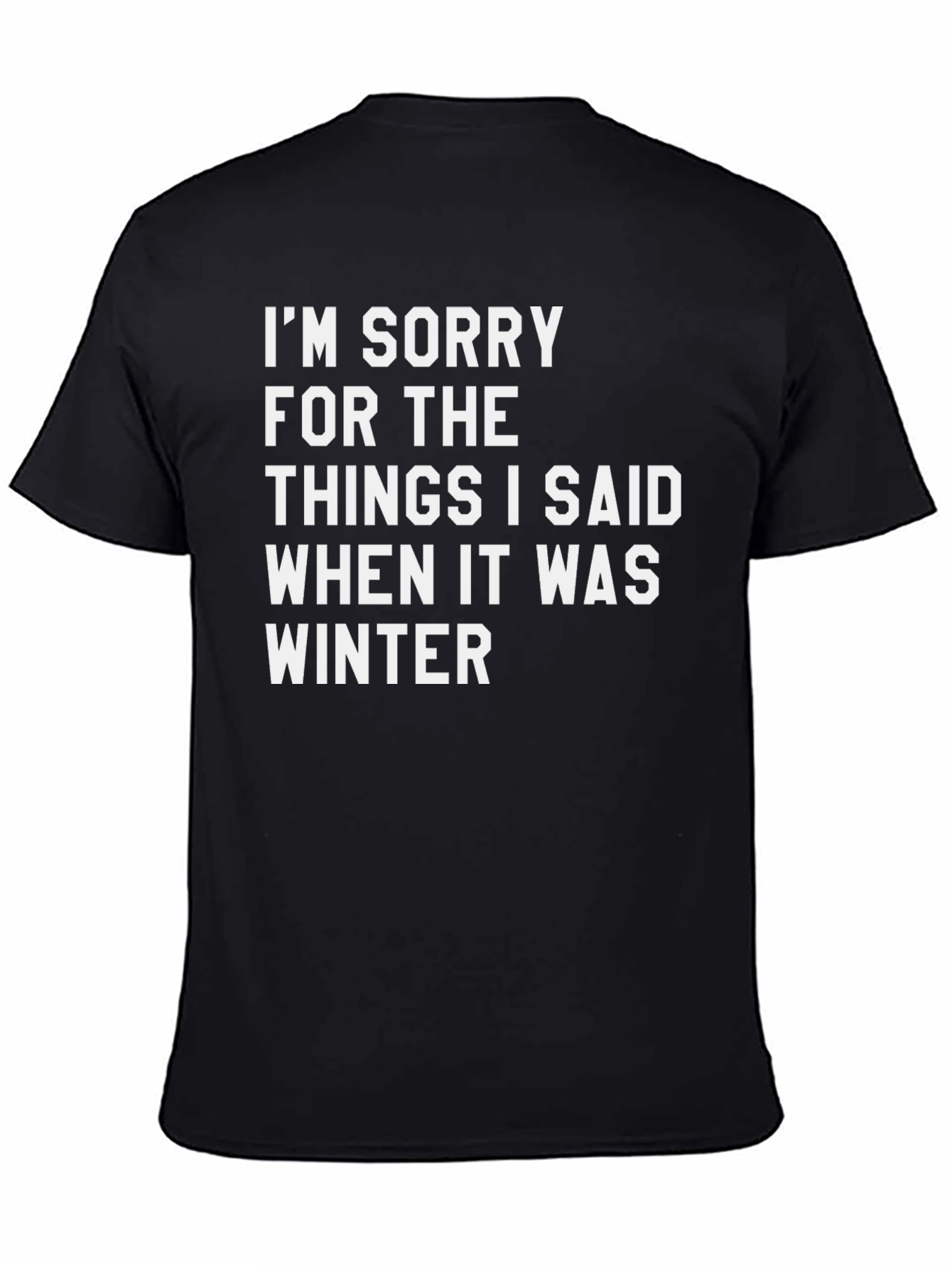 Funny Winter Apology T-Shirt