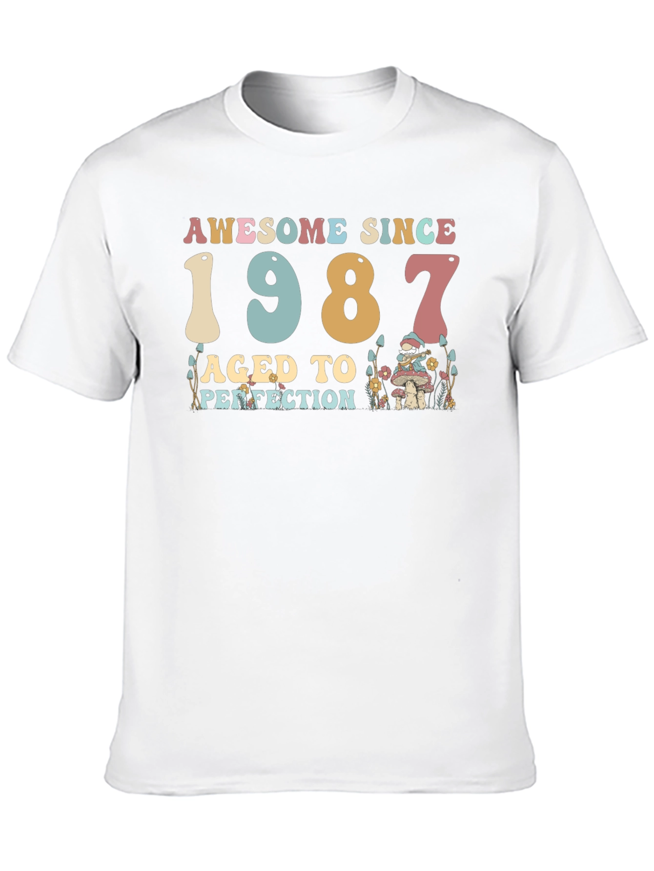 Awesome Since 1987 Birthday T-Shirt