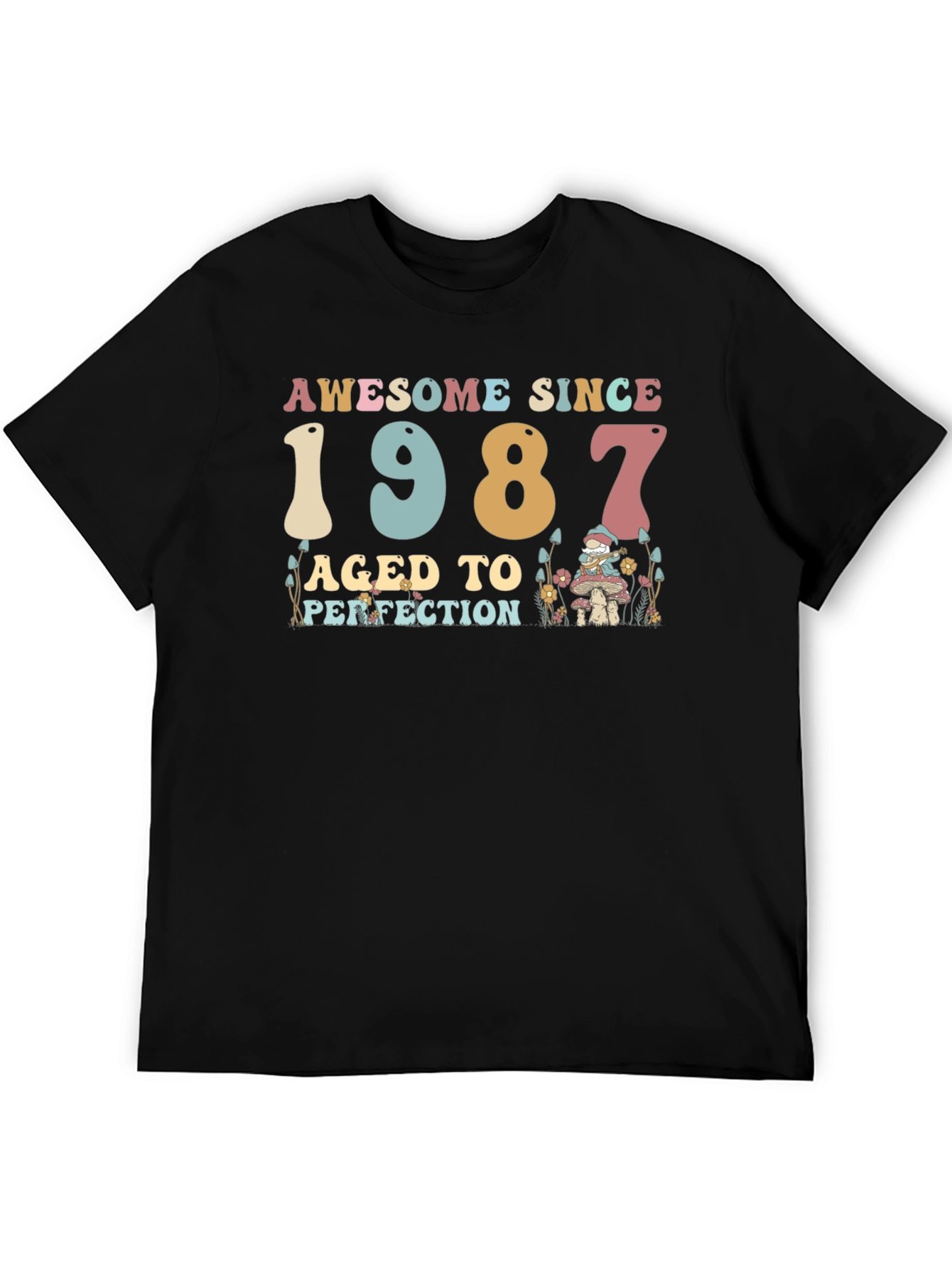 Awesome Since 1987 Birthday T-Shirt