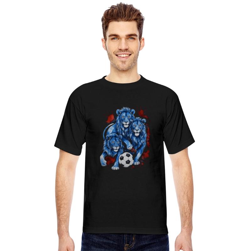 Lions Football Soccer Colorful Animal Graphic