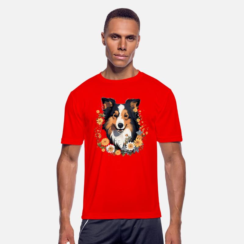 Long Hair Collie Collie Dog Dog Breed for a