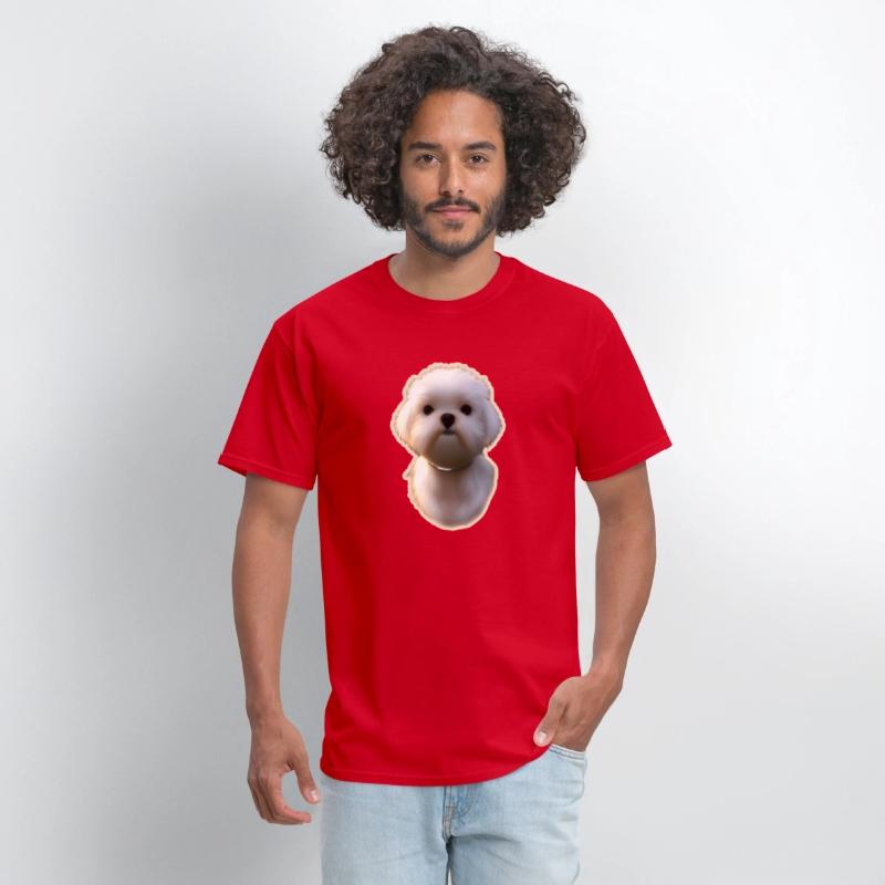 Maltese dog pet potriat