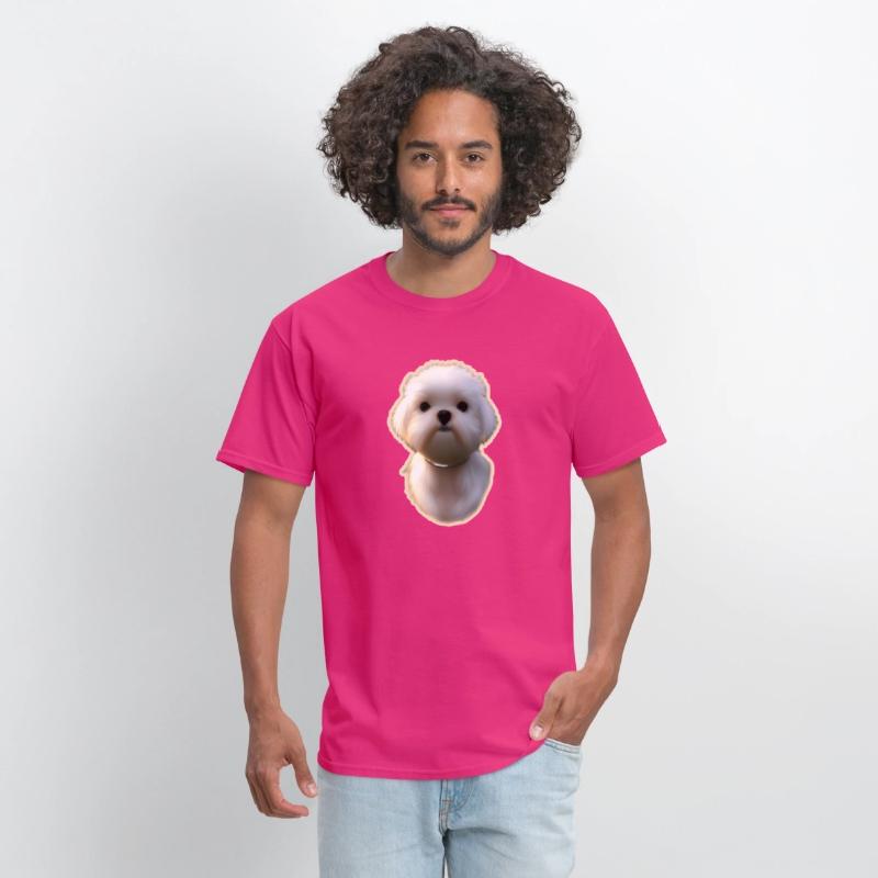 Maltese dog pet potriat