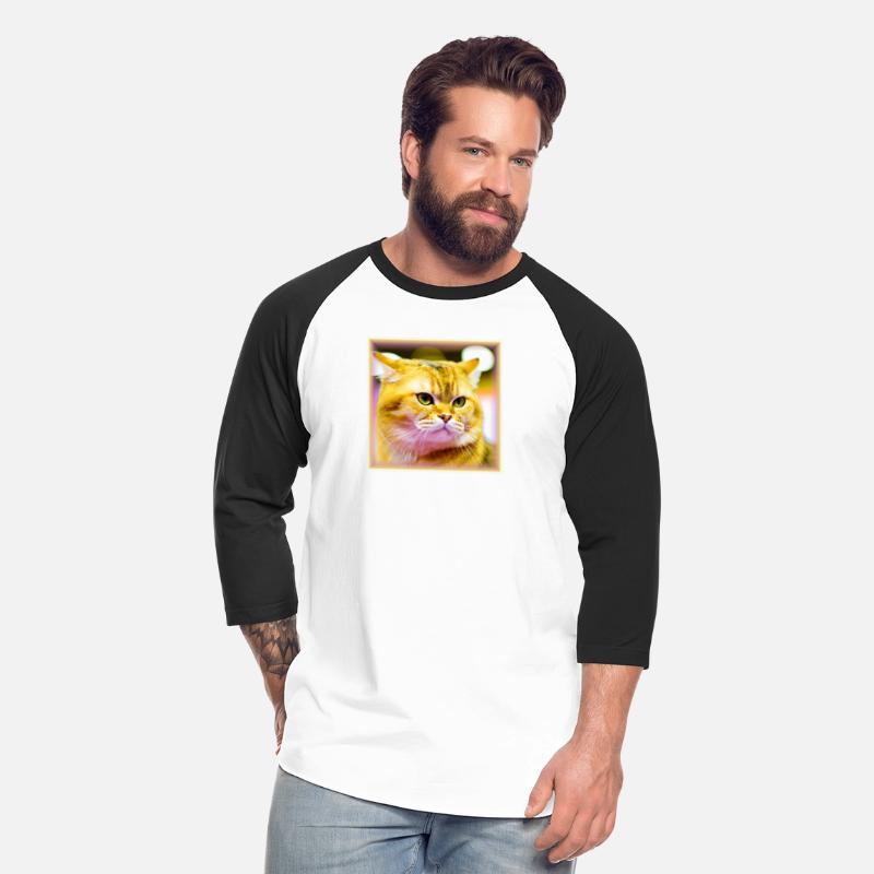 Photo of a Cute Cat in Staring Mode. Buy Now