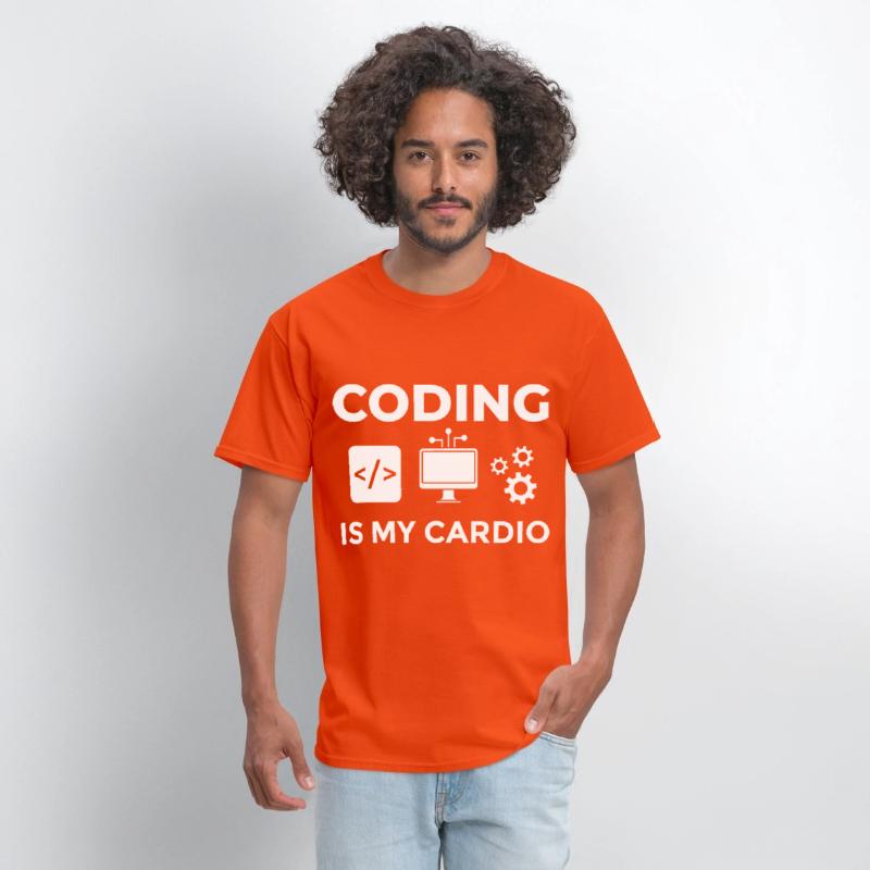 Software Development Engineer Developer Manager